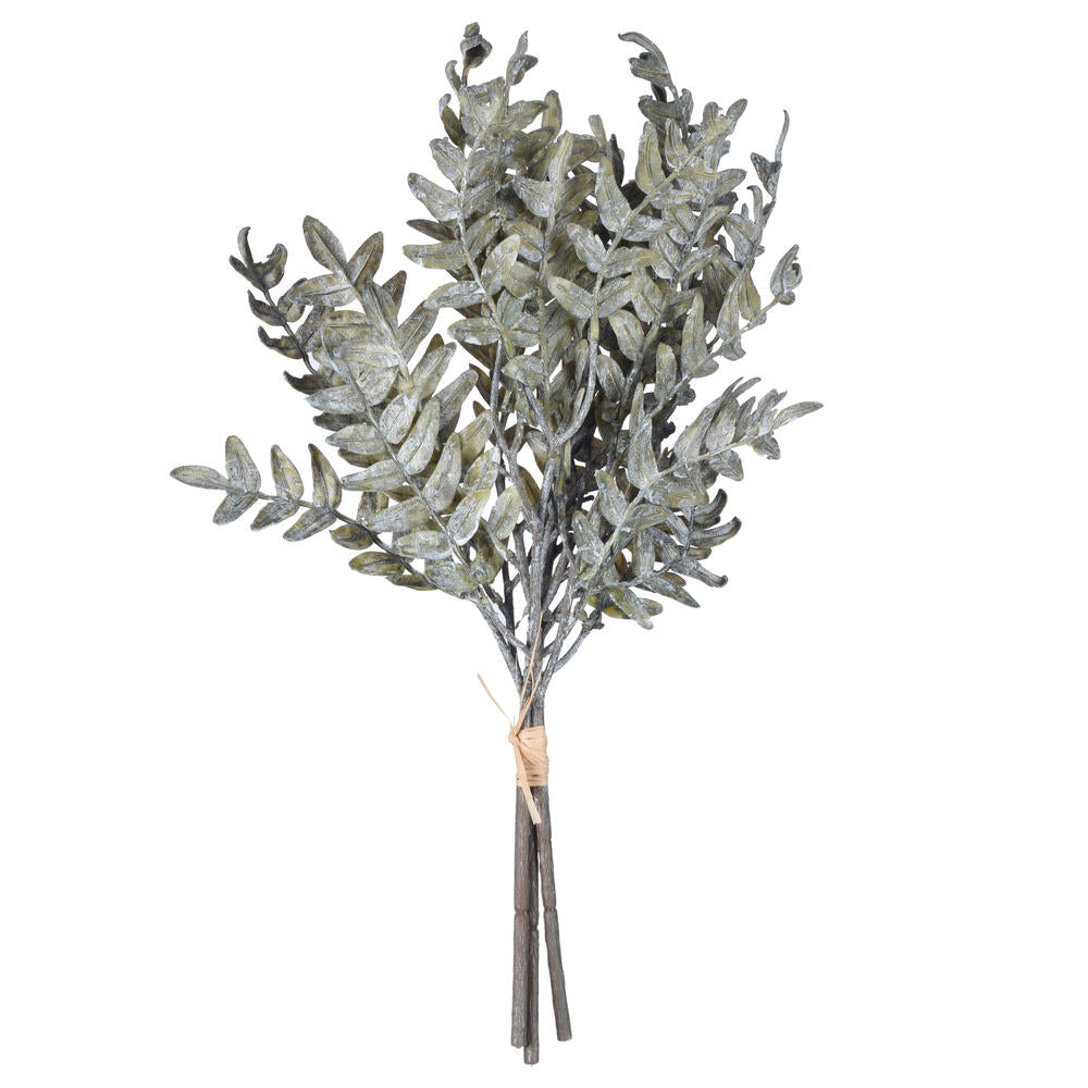 18” Green Acacia Bundle
