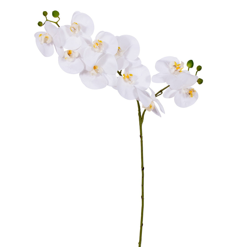 34” White Orchid Stem Real Touch