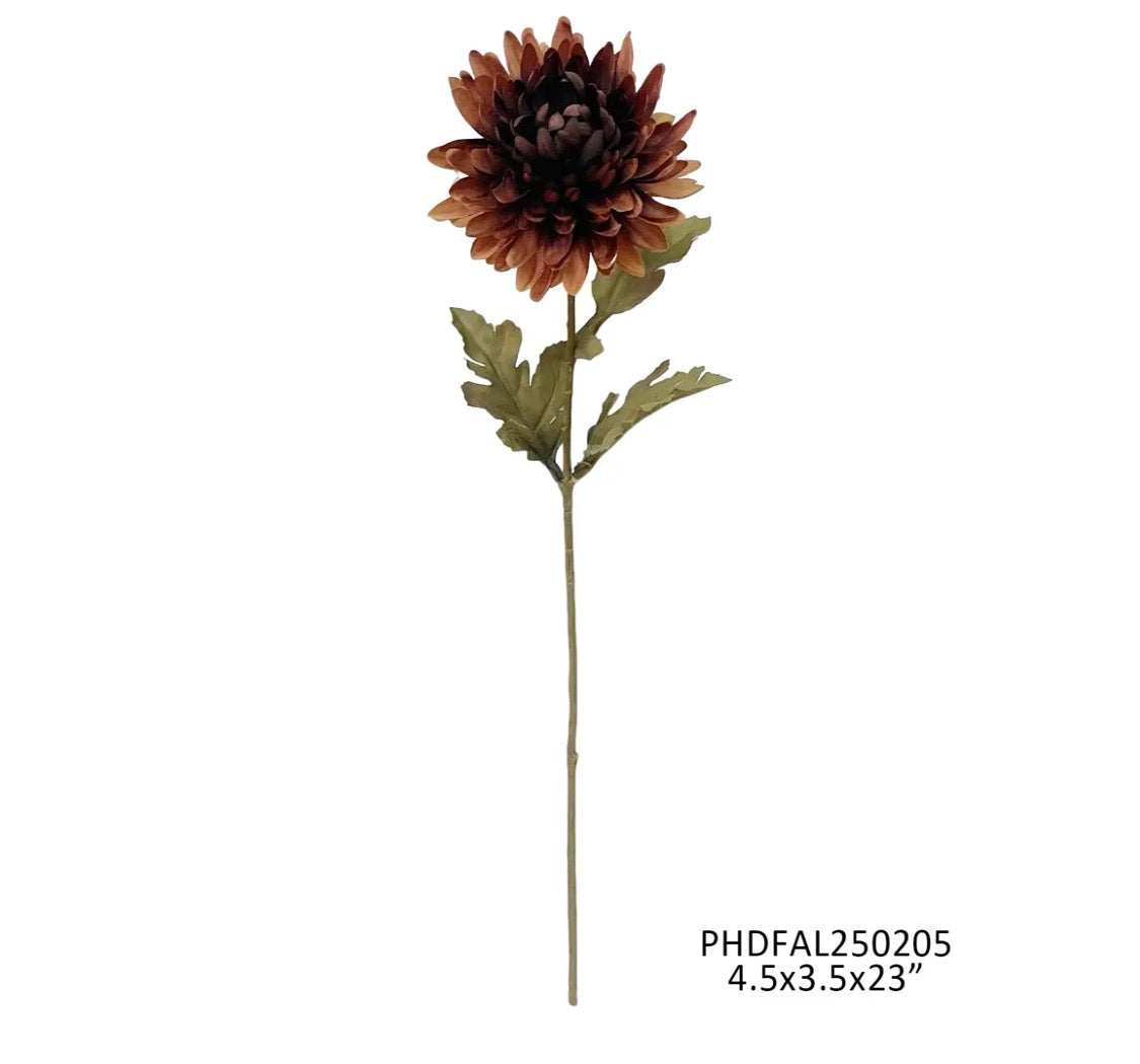 County Fair Chrysanthemum Chili Stem