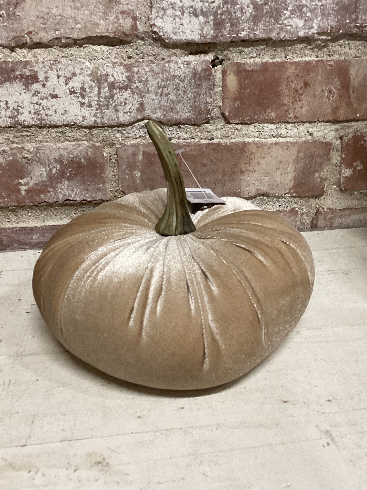 6.25” Cream Velvet Pumpkin