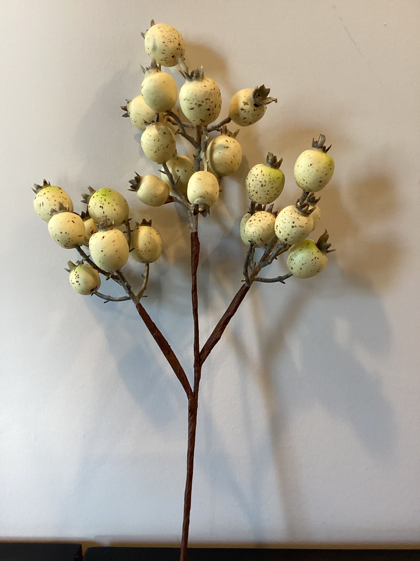rosehip pick (RHP)