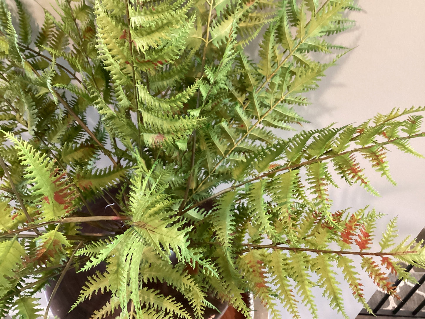 26” Forest Fern