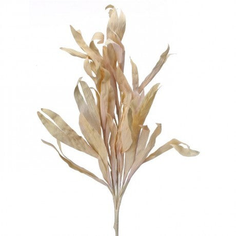 Faux Corn Husk Spray