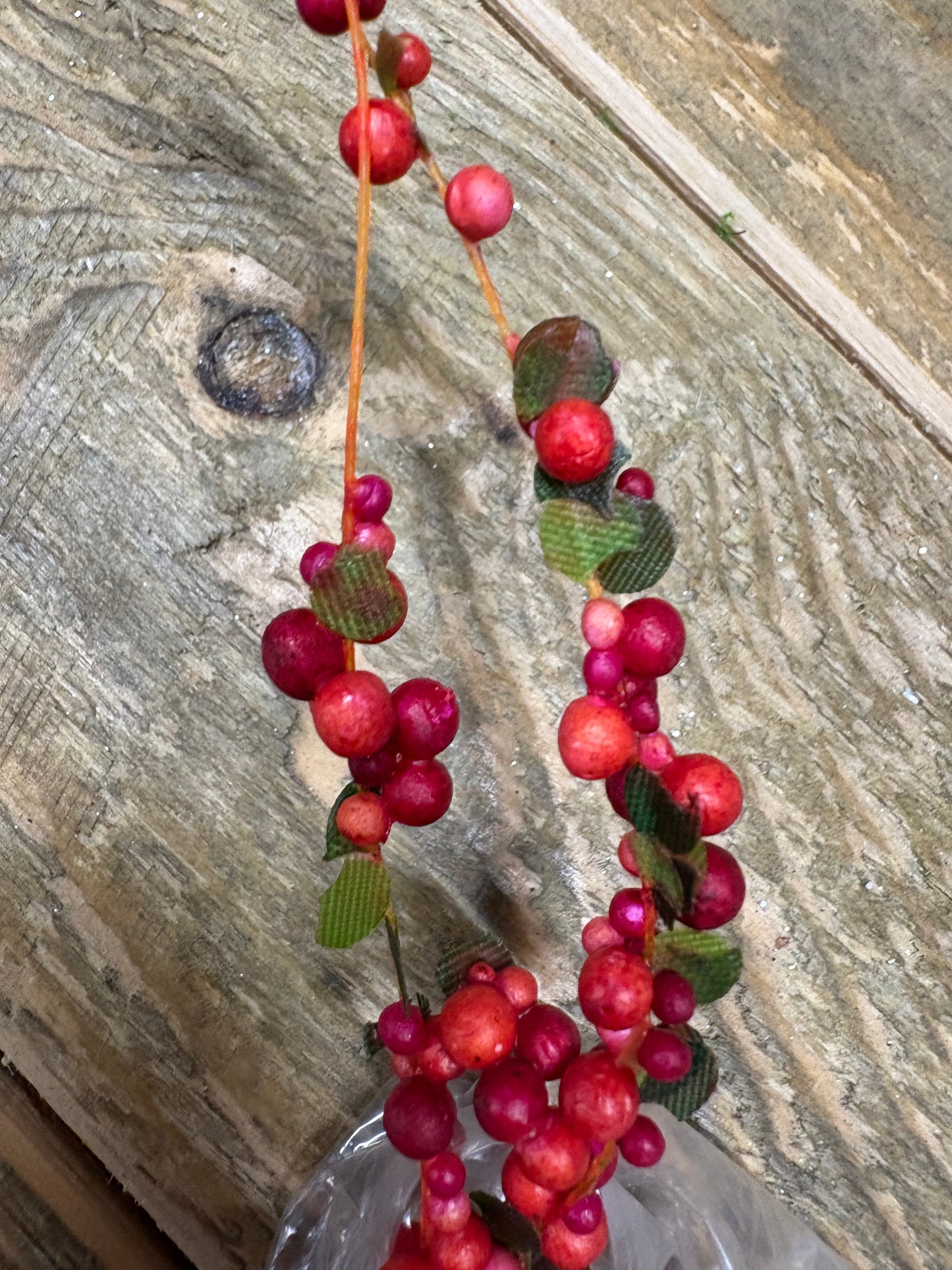 Amaranthus Garland-Red
