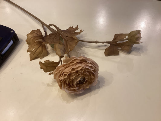 24” Autumn Ranunculus Stem Taupe