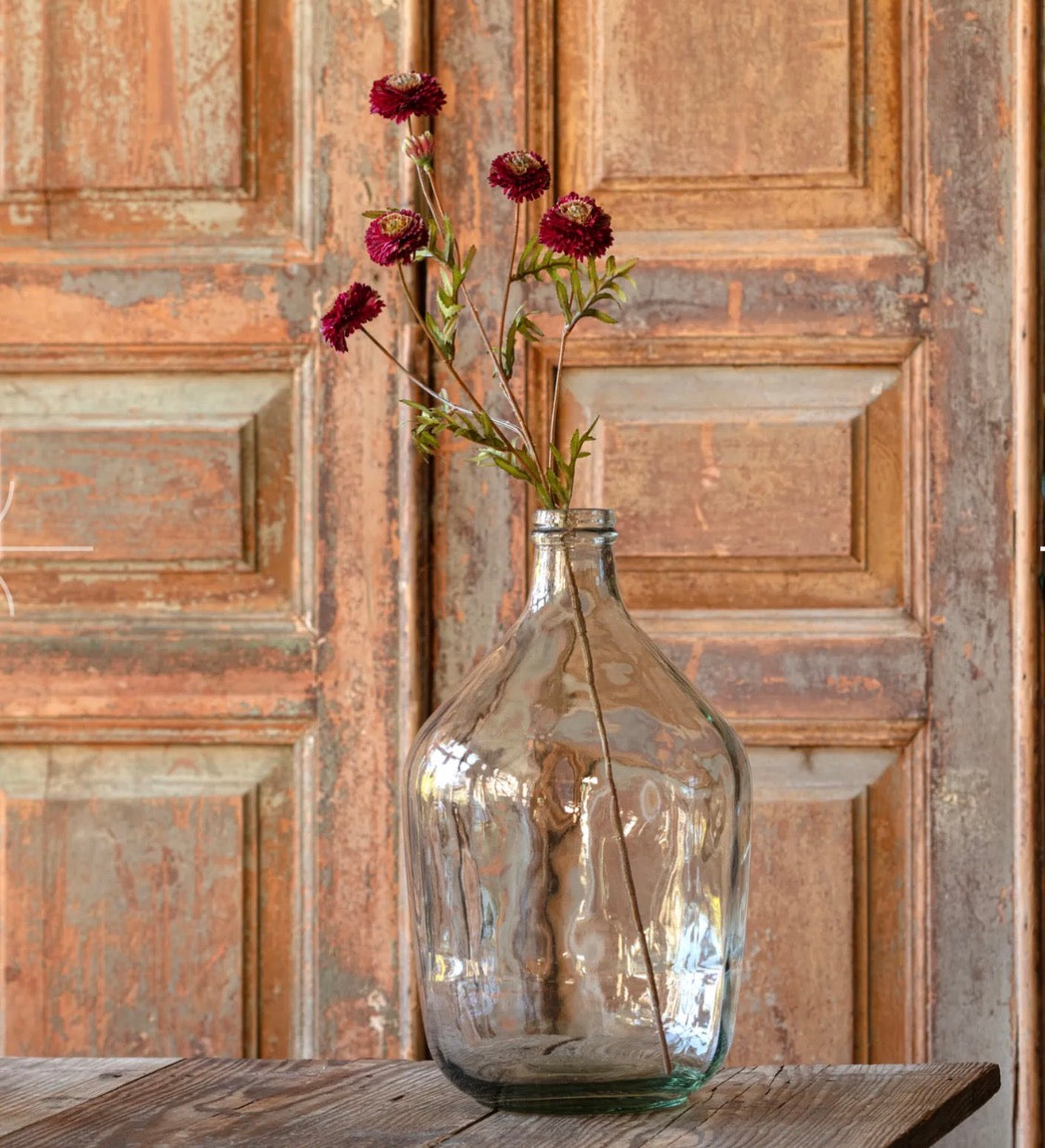 Aster 24” Wine