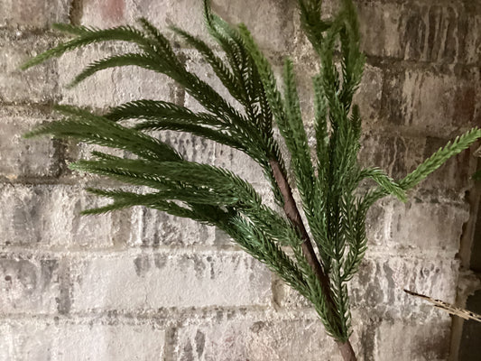 24.5” Green Norfolk Pine Spray