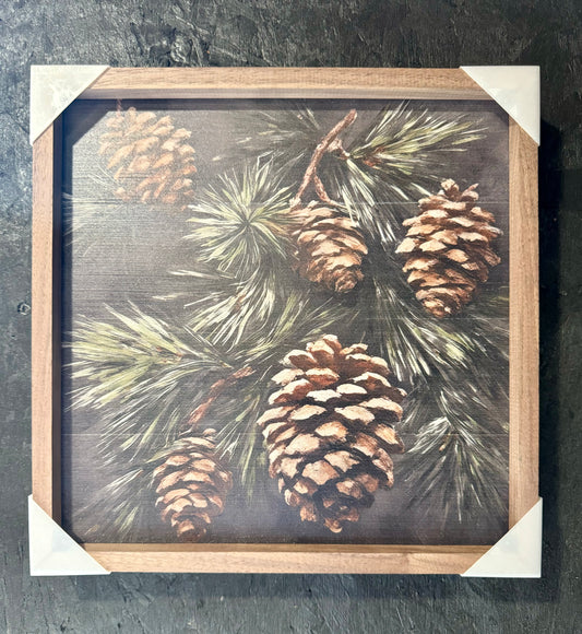 Pinecone Branch 12 x 12 Framed Print