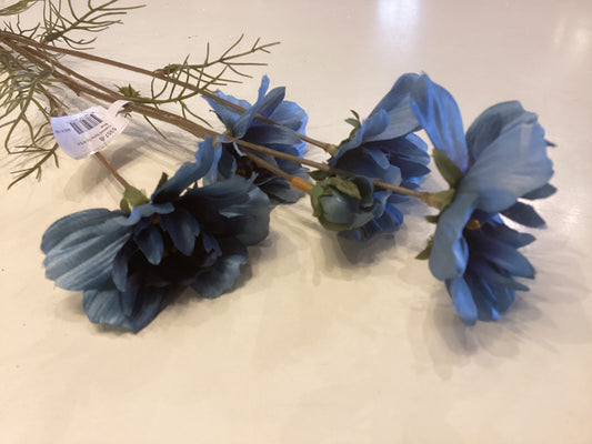 Cosmos spray Blue