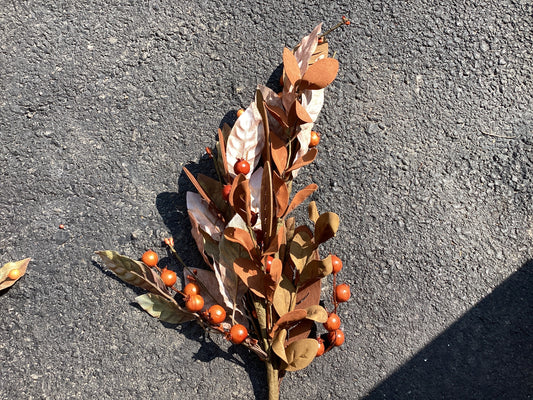 Fall Berry wood leaf stem