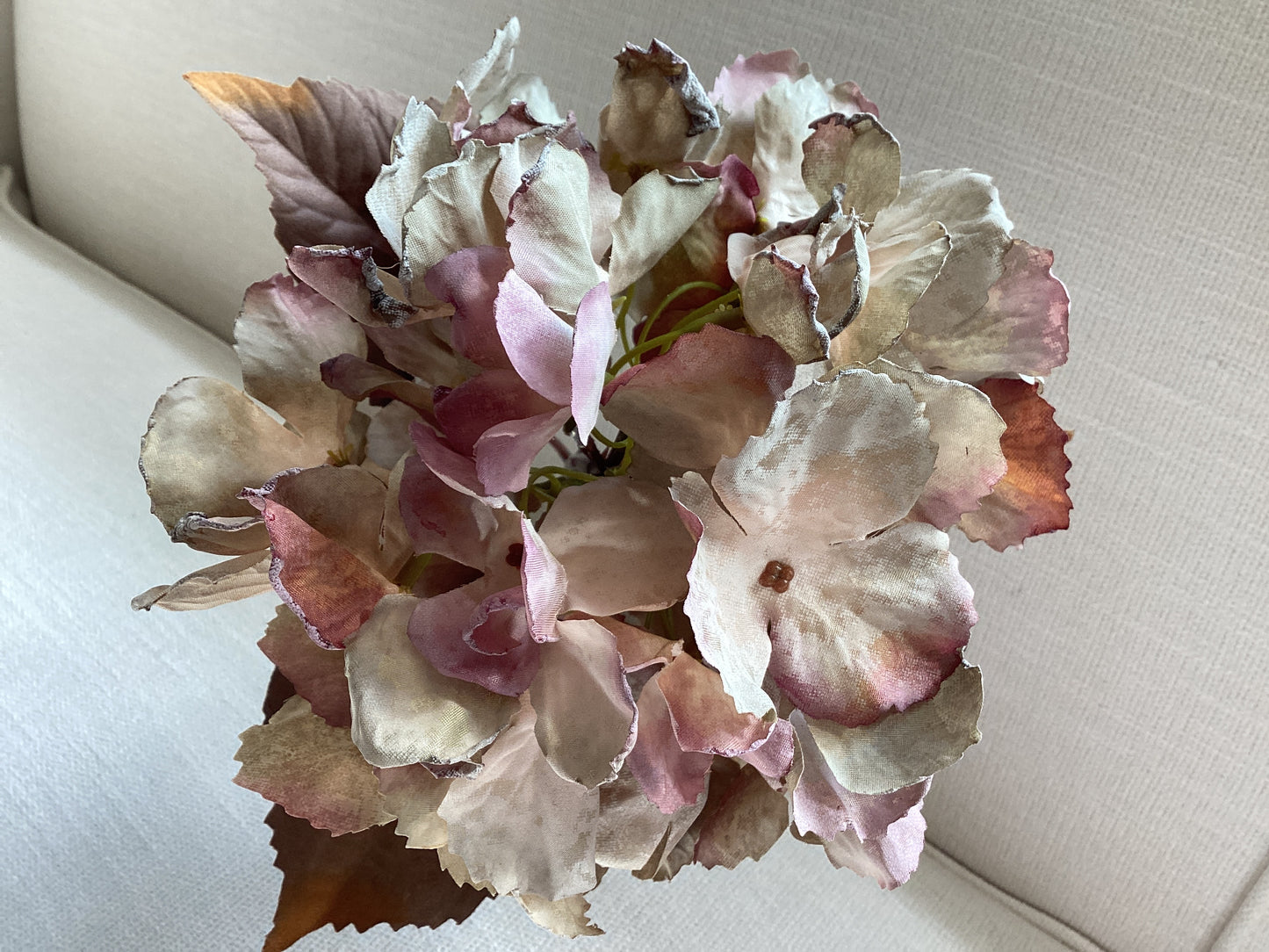 Hydrangea with Cream, Sage, and Mauve Petals