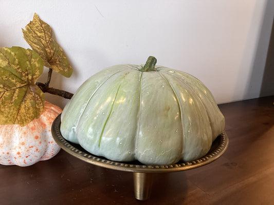 8” Sage Green Saucer Gourd