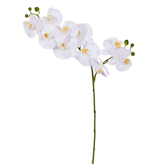 34” White Orchid Stem Real Touch