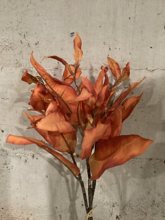 Orange Dried Leaves Bundle (ODL)