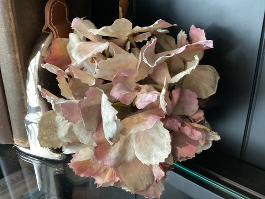 Hydrangea with Cream, Sage, and Mauve Petals