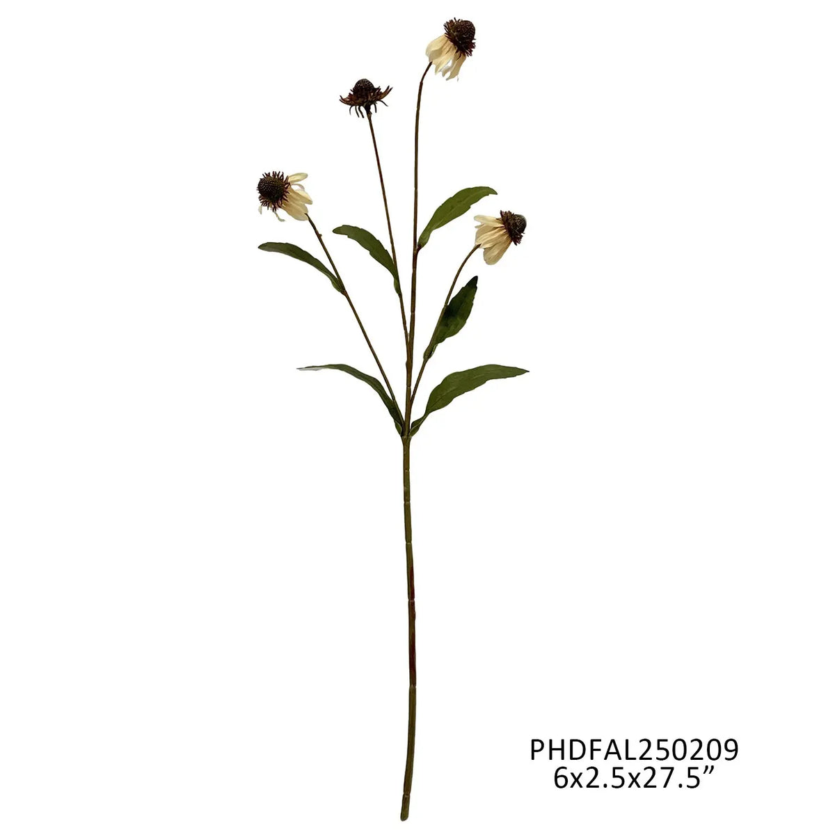 Echinacea Stem Cream