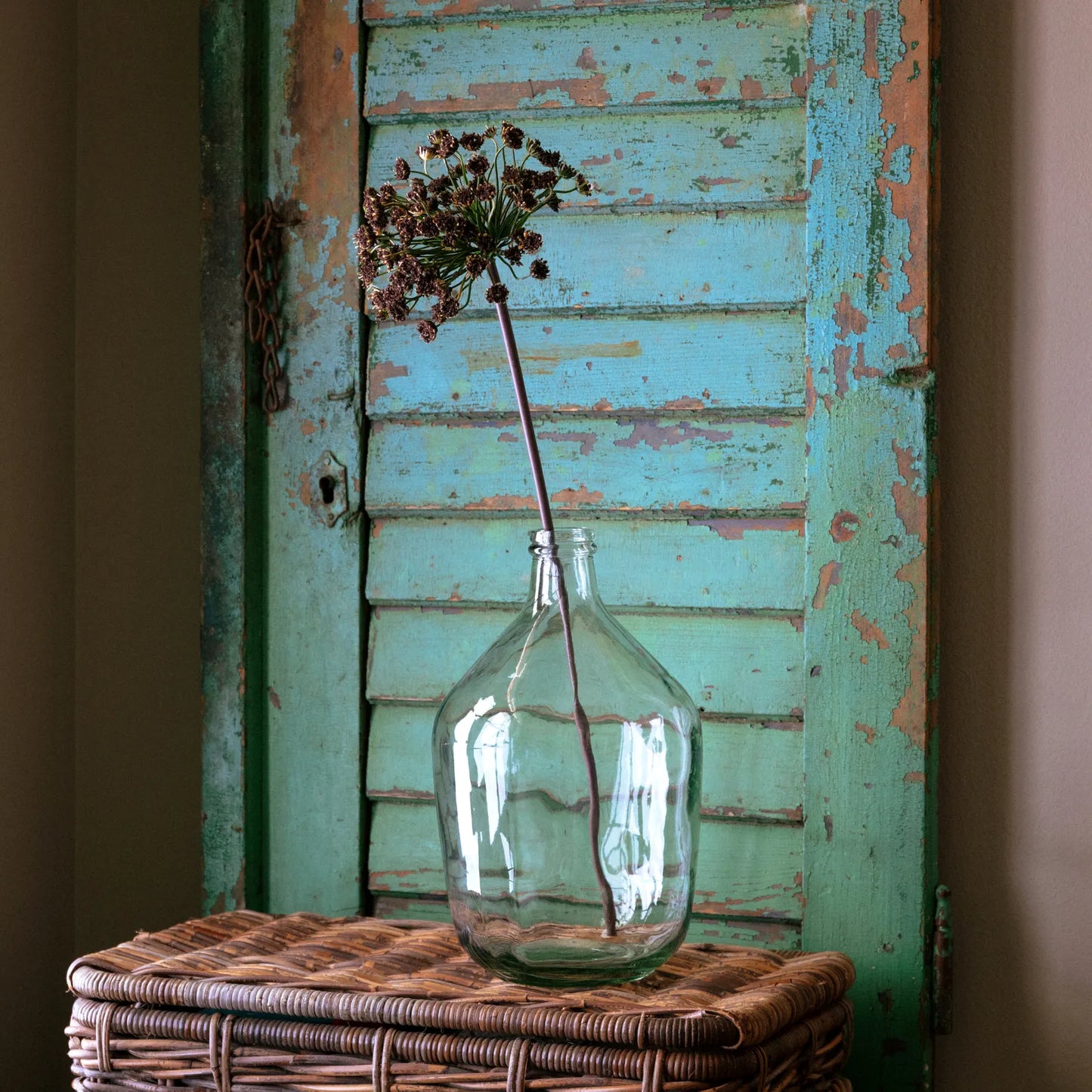 Blush Daucus Stem 28”