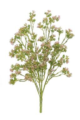 Seeds Bush Pink/Green 17”