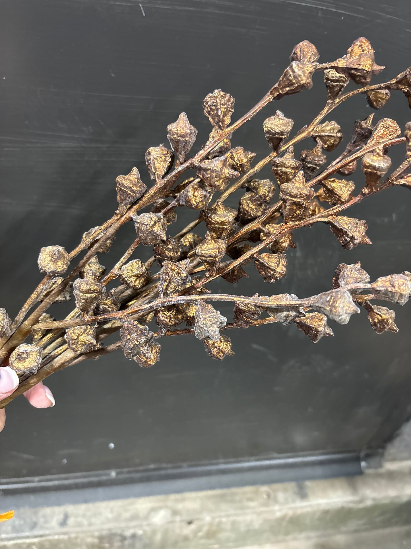 Metallic Eucalyptus Pod Stem