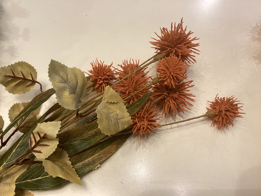 Spiny Pod Bush 19” burnt orange