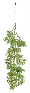 Ming Aralia Vine Green 37”