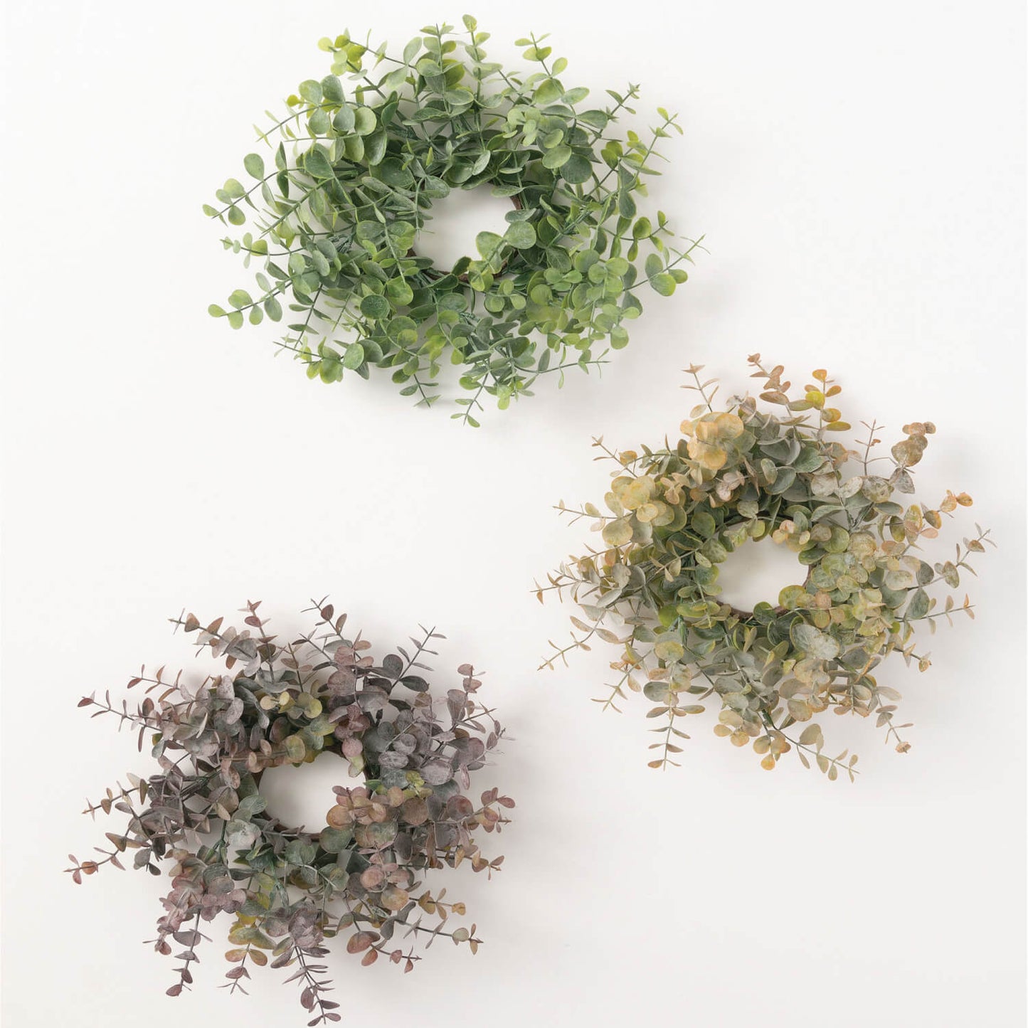 Eucalyptus Ring