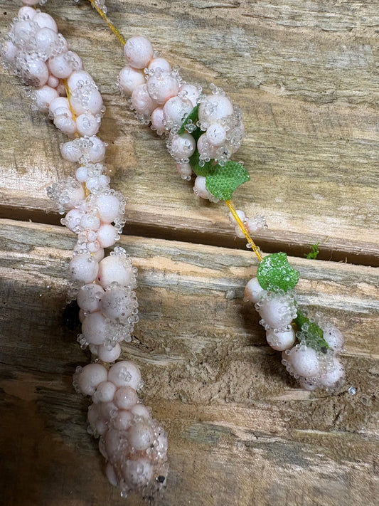 Amaranthus Garland-White