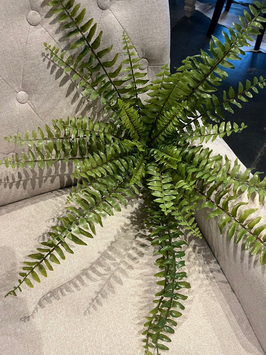 UV Boston Fern 14” Green