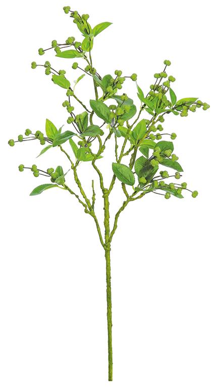 Spring Tallow Berry Spray