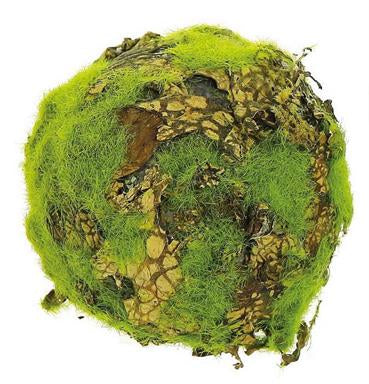 Medium Lichen & Moss Orb 5.1”