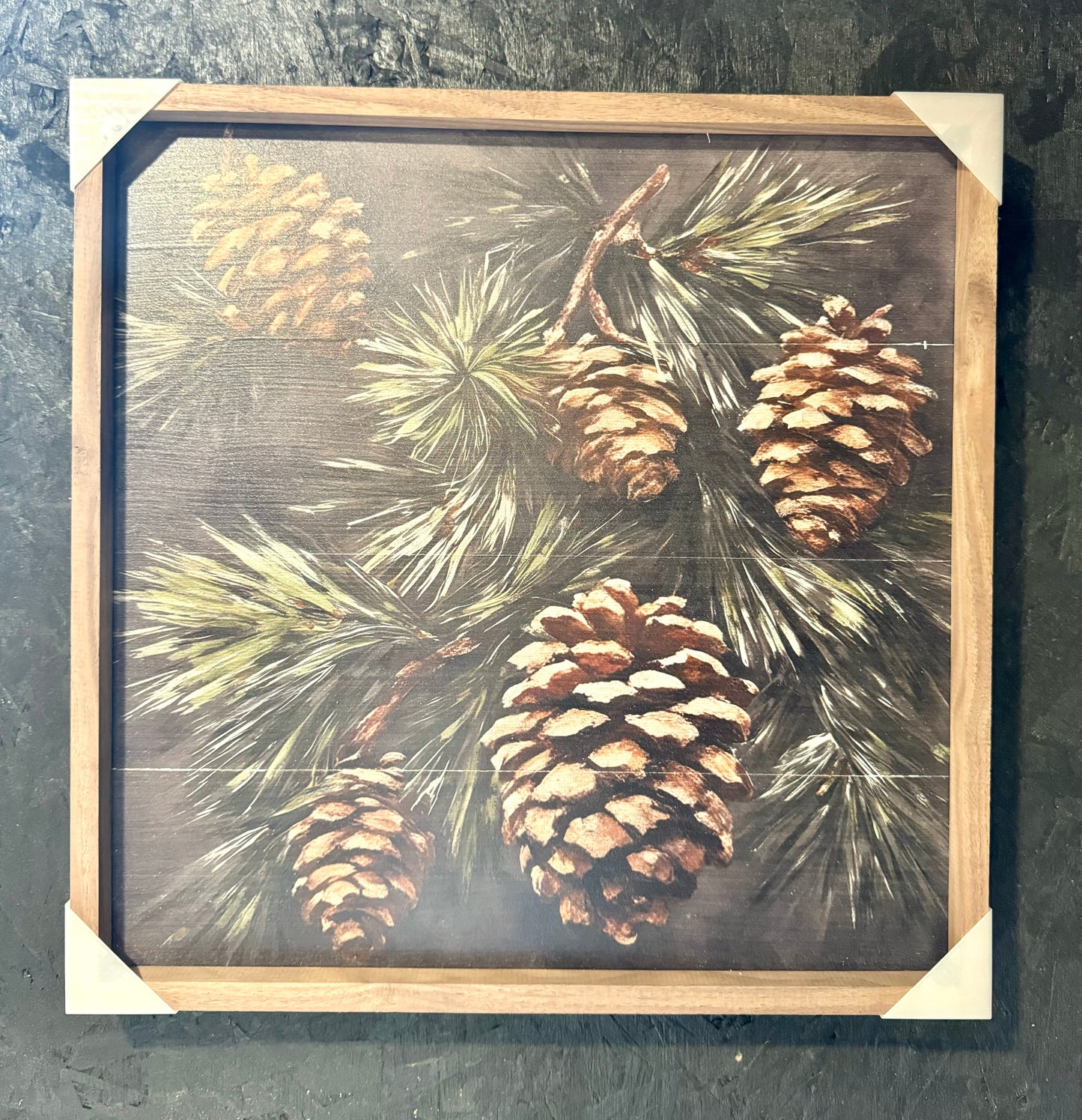 Pine Branch 16 x 16 Framed Print