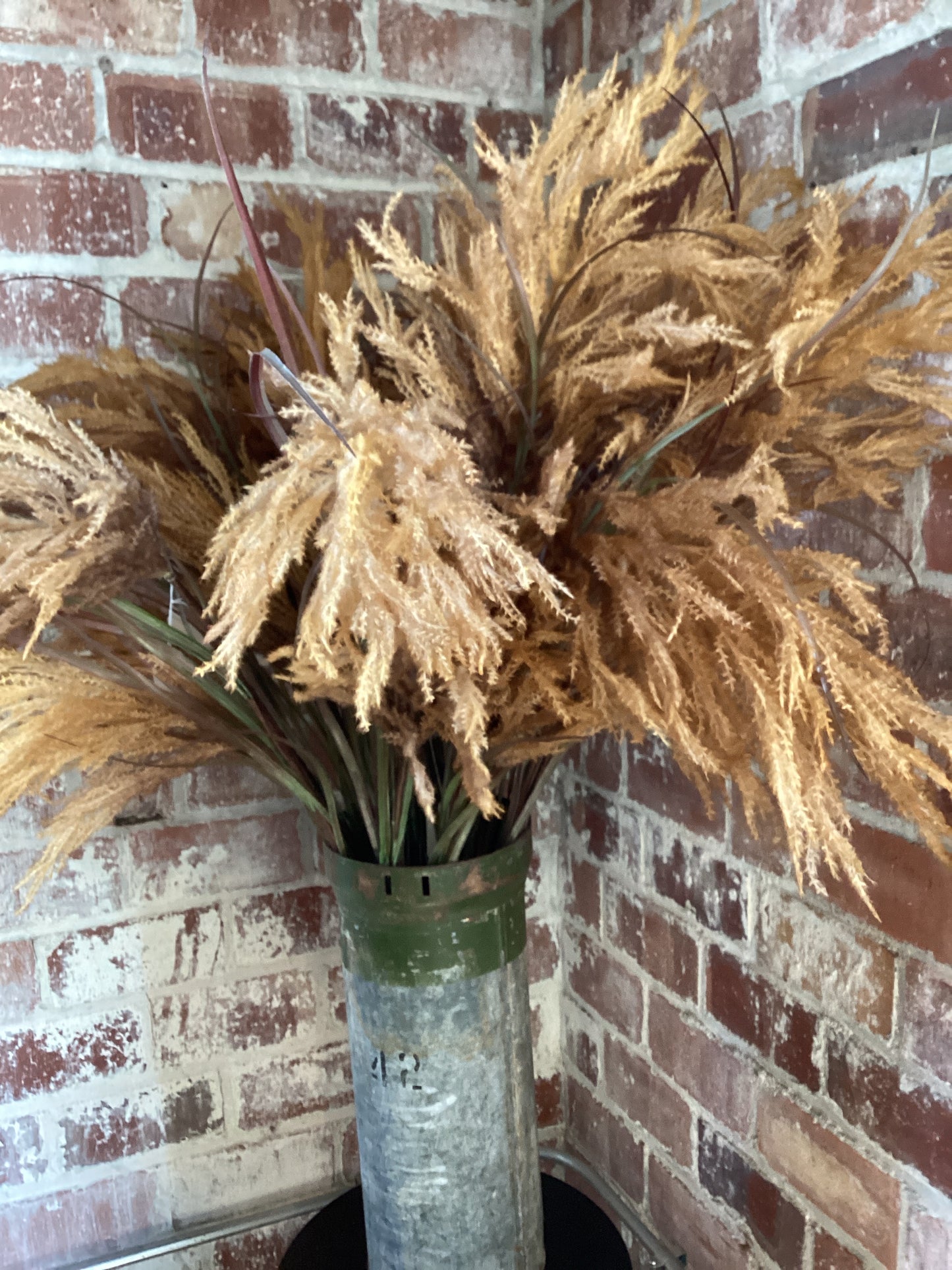 Wheat Pampas Grass 36”(WPG)