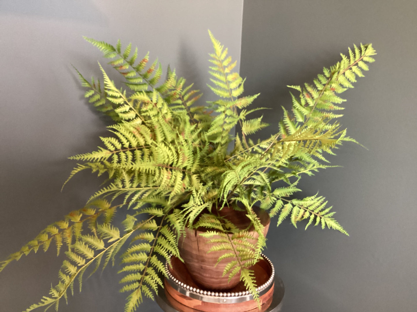26” Forest Fern
