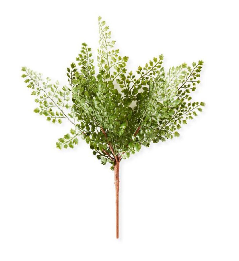 16” Maidenhair Fern Spray Stem
