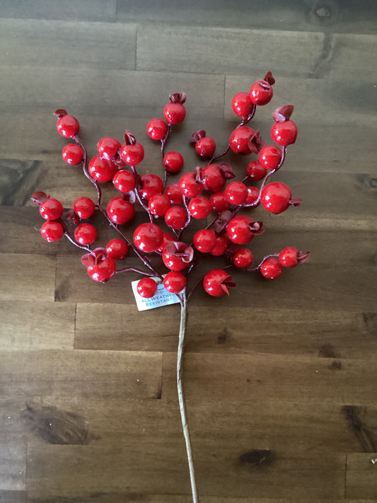 Weather Resistant Red Berry Pick