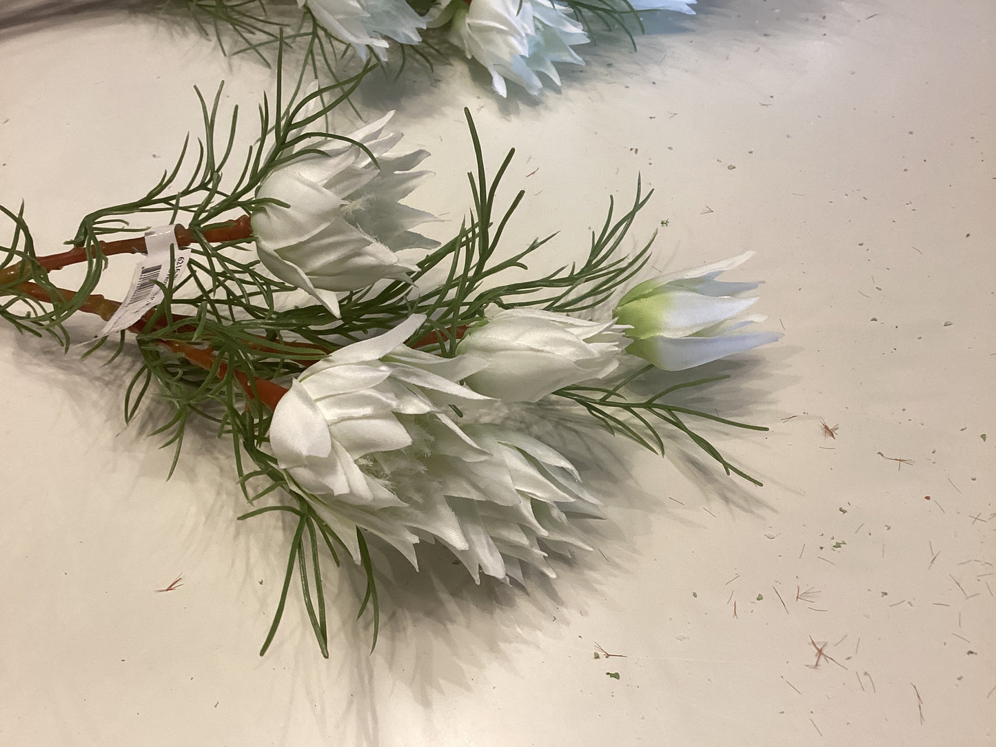 Wild Protea 23.5” white