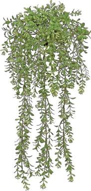 Boxwood Bush/Vine Moss Green 24”