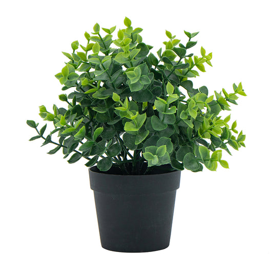 8x8x9" Greenery W/Pot