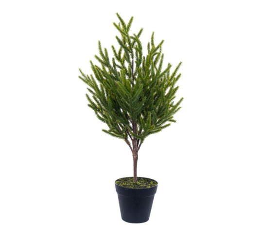 24” Potted GreenNorfolk Pine Artificial Christmas Tree, Unlit
