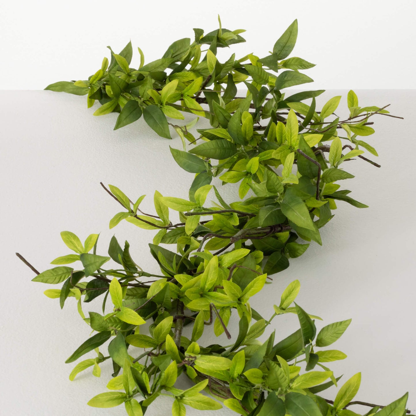 Ruscus Twig Garland