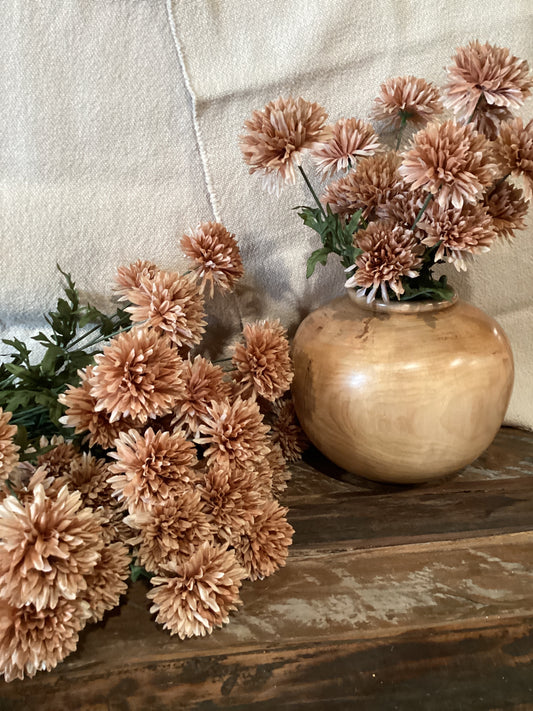 Pom Pom Mum Bush Terra Cotta (PM 2)