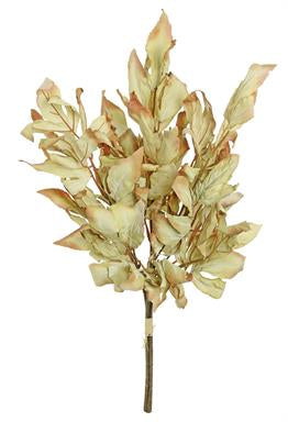 Dried Leaf Parchment Bundle 26”