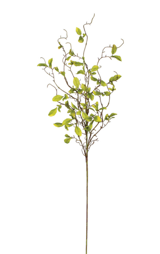Leaf & Twig Spray 40”