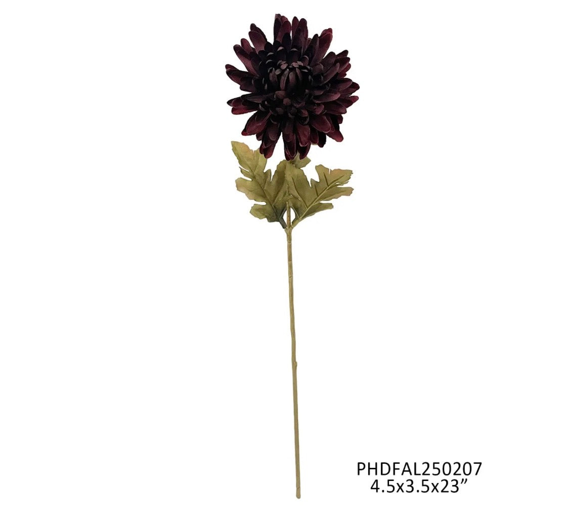 County Fair Chrysanthemum Clove Stem
