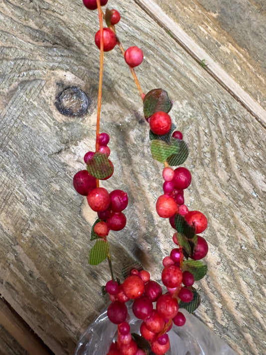 Amaranthus Garland-Red