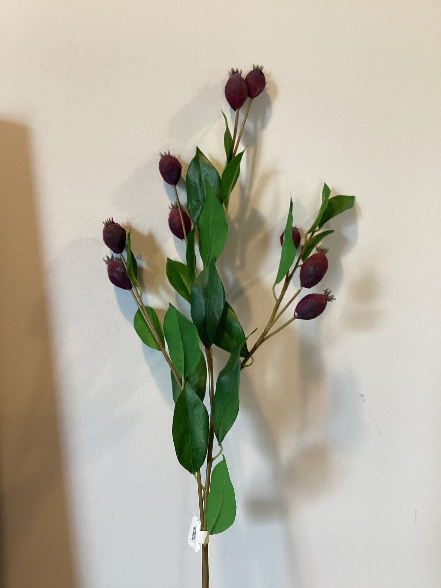 Dune Berry Fruit Spray Plum