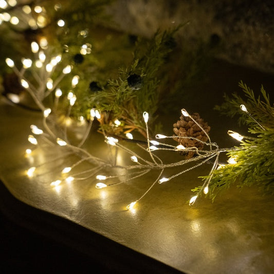 10’ Fairy Cluster Lights on Silver Wire